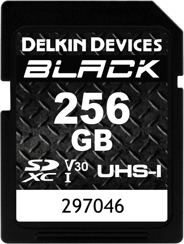 Karta pamięci Delkin SD BLACK Rugged UHS-II V30 R90/W90 256GB