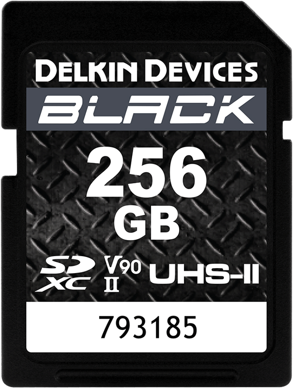 Karta pamięci Delkin SD BLACK Rugged UHS-II V90 R300/W250 256GB