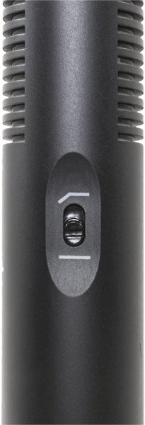 Mikrofon Shotgun Azden Pro XLR Out Shotgun Microphone SGM-250P