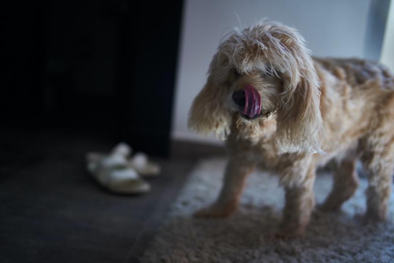 Obiektyw TTArtisan 35mm F1.4 Leica M Mount Czarny