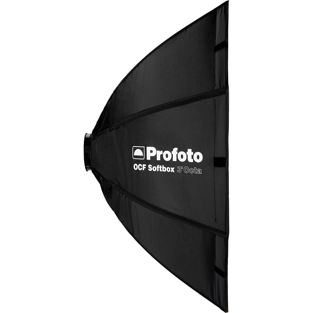 p101231