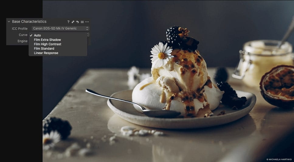 Capture One 22