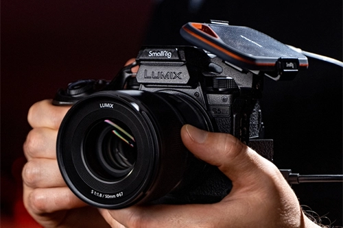 Specyfikacja aparatu Panasonic LUMIX S5IIX