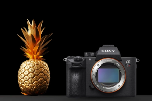 Najważniejsze funkcje aparatu Sony A7R IIIa