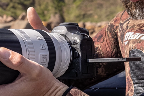Wykorzystanie Canon EOS R5 Mark II w fotografii przyrodniczej