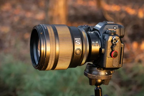 Nikkor Z 85 mm f/1.2 S to portretowa bestia dająca piękny bokeh