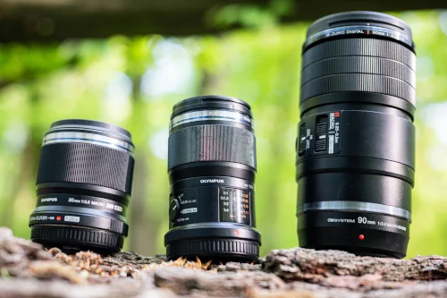 Jaki obiektyw wybrać do fotografii makro? Wszystko, co musisz wiedzieć
