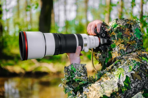 Sony 100-400 mm f/4.5 GM to obiektyw marzeń fotografów przyrody