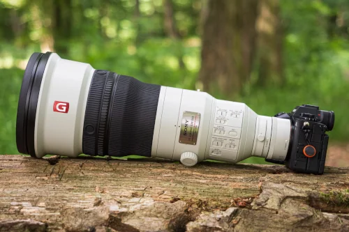 Sony 400 mm f/2.8 to marzenie każdego fotografa przyrody