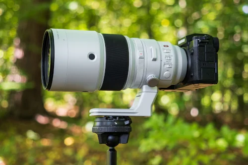 Fujifilm XF 400 mm f/4.5. Czy sprawdzi się w fotografii dzikiej przyrody?